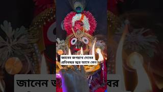 জগন্নাথ দেবের প্রতিবছর জ্বর আসে কেন? #jagannathpuri #জয়জগন্নাথ #jagannath #snanjatra #youtubevideo