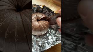 Chocolate Orange 🍊 unwrapping ASMR