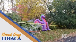Good Day Ithaca | Halloween in Tompkins County