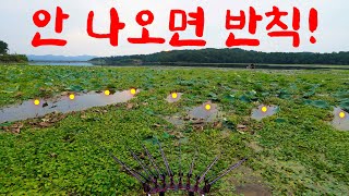 이곳이 바로 무조건 나오는 구멍