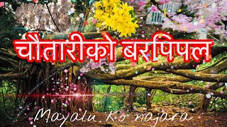 Chautariko bar pipal mayalu ko Nazara Nepali song चौतारी को बर पिपल मायालु को नजर