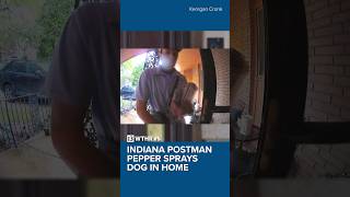Indiana postman caught on video pepper spraying dog through mail slot in door
