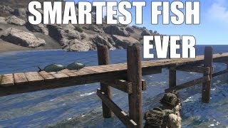 Arma 3 fish has surpassed all expectations. (Epic fish glitch)