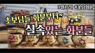 9월25일 초보님들 화분부터 실속있는화분까지 #꽃담다육스토리#예쁜화분#화분싸게파는곳#다육식물#多肉植物#succulents#다육이#꽃담화분#다육화분#꽃담다육스토리화분