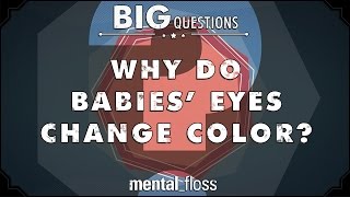 Why do babies' eyes change color? - Big Questions - (Ep. 211) | Mental Floss
