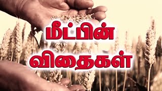 SARON VISION MINISTRIES |  கழுவப்படு இதயமே II 19 Feb 2024