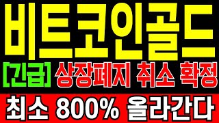 [비트코인골드 코인전망] \