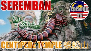 EXPLORING THE CENTIPEDE TEMPLE (蜈蚣山)