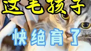 最后三次机会… 记录猫咪日常 尿床猫 我和我的猫 庄园老邢瞎弄的日常