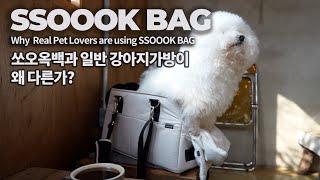 진정한 애견인이 사랑하는 쏘오옥백은 무엇이 다른가? SSOOOK BAG by KAY 2