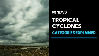 How tropical cyclones are categorised | ABC News