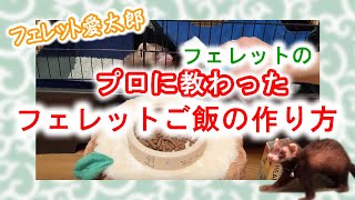 【フェレット赤ちゃん】フェレット飼育のプロ直伝！！フェレットご飯の作り方。愛太郎の場合