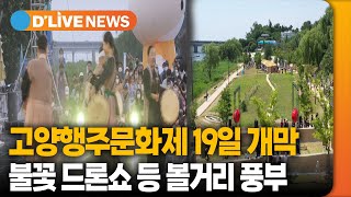 고양행주문화제 19일 개막…불꽃드론쇼 등 선보여 [고양] 딜라이브TV