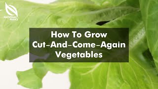 Cut-And-Come-Again Vegetables | SGF Hort Show 2021