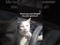 you laugh you subscribe v89 meme youlaughyoulose offensivememes funny funnypictures memefunny