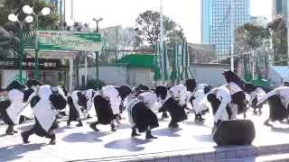 早稲田大学踊り侍 ふるさと祭り東京メインゲート前 2015.01.11