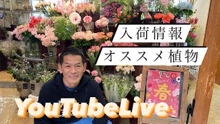 入荷情報 社長オススメ植物  YouTubeLive 【おうちでガーデニング 】開花園チャンネル