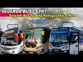 Terkenal Bus CEPAT! Sejarah Bus Cepat Sugeng Rahayu, Eka dan Mira