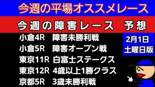 [平場オススメレースと障害レースの予想]2月1日土曜日版 白富士ステークス 障害未勝利戦 障害オープン戦4歳以上1勝クラス 3歳未勝利戦