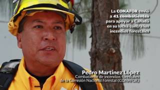 CONAFOR envía a Canadá a 41 combatientes de incendios forestales