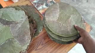 Mandharai leaf rounded cutting | mandharai leaf making bussiness