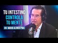 Así afectan el ESTRÉS Y LA ALIMENTACIÓN A TU FELICIDAD Y SALUD | Mario Alonso Puig