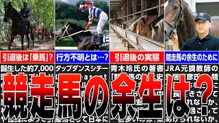 【競馬】競走馬の余生は幸せですか？行方不明？人知れず、、、真実はこうです、