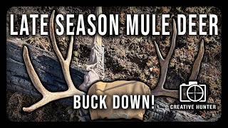 Hunting Rutty Mule Deer in November | BUCK DOWN!