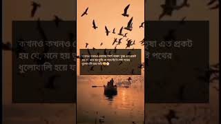 কখনো কখনো তোমার স্পর্শ পাবার তৃষ্ণা এত প্রকট হয় যে। #lovestatus #subscribe #trendingshorts #motivat