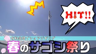 【ショアジギ】リベンジ！サゴシ祭りに乗り遅れるな!!春のショアジギング【管理堤防】