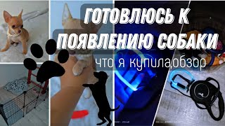 готовлюсь к появлению собаки | обзор покупок