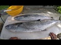 HOW TO CLEAN A KINGFISH (KING MACKEREL)