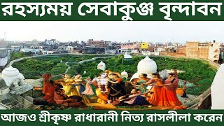 বৃন্দাবনের রহস্যময় সেবাকুঞ্জের রাসলীলার কাহিনী শুনলে আশ্চর্য হবেন।।প্রত্যক্ষ প্রমাণ আজও দেখাযায়।।