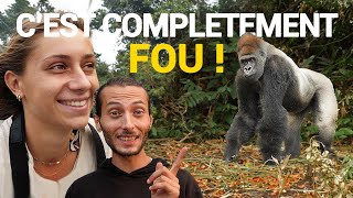 RENCONTRE avec des GORILLES pendant notre voyage au CONGO (en 4x4 aménagé)