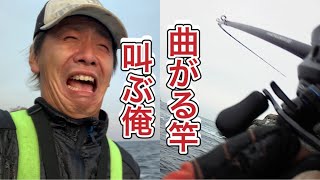 [三陸] ロック  風邪の引き始めのアイナメ