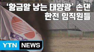 [자막뉴스] '황금알 낳는 태양광' 손댄 한전 임직원들 / YTN