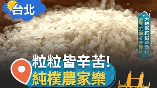 粒粒皆辛苦! 一日農夫體驗插秧 大地畫布稻苗顏料 清農夫婦友善種植 守護台北最後一片稻浪 找回純樸的農家樂│【智富食代】20230412│三立iNEWS