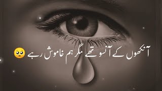 Ankhon Ke Anson They | Sad Poetry Status | Shero Shayari In Urdu/Hindi 2022