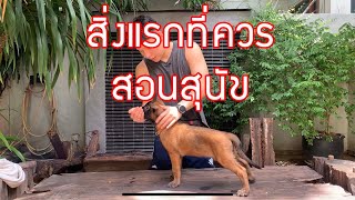 สิ่งแรกที่ควรสอน | EP.13 | สุนัขบุ๊ค บอก ต่อ