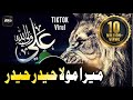 Mera Mola Haider Haider | Hafiz Rizwan Ghuman | TikTok Viral AliHaqAli Full Manqbat 2022