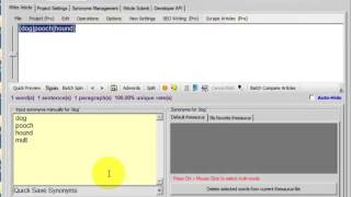 SpinnerChief Tutorial Thesaurus Creation