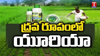 ద్రవ రూపంలో యూరియా | World's First Nano Urea Liquid | T News