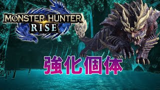 【MHRise】強化個体マガイマガドがガチで古龍級！！！！！【強化個体マガイマガド】