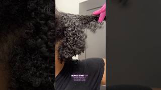 2025 Wash n go Routine #type4hair  #washngo  #naturalhair #curlyhairstyles #curls #routine #4b #4c