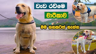 මගේ පලවෙනි විනෝද චාරිකාව | My First Excursion