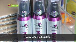 Dog \u0026 Cat PET MALL โฟมอาบแห้ง สำหรับสัตว์เลี้ยง nano mousse