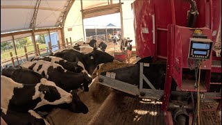 Harvesting soybeans and mixing cow feed