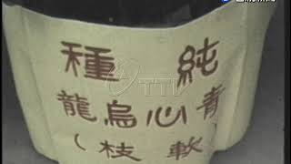 苗栗明德茶品嚐會及客家山歌比賽大會