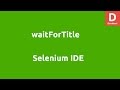 Selenium IDE waitForTitle