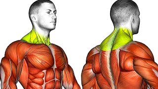 10 Transform Neck & Traps Exercises